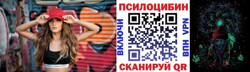 как найти   Саров  Галлюциногенные грибы Psilocybine cubensis 