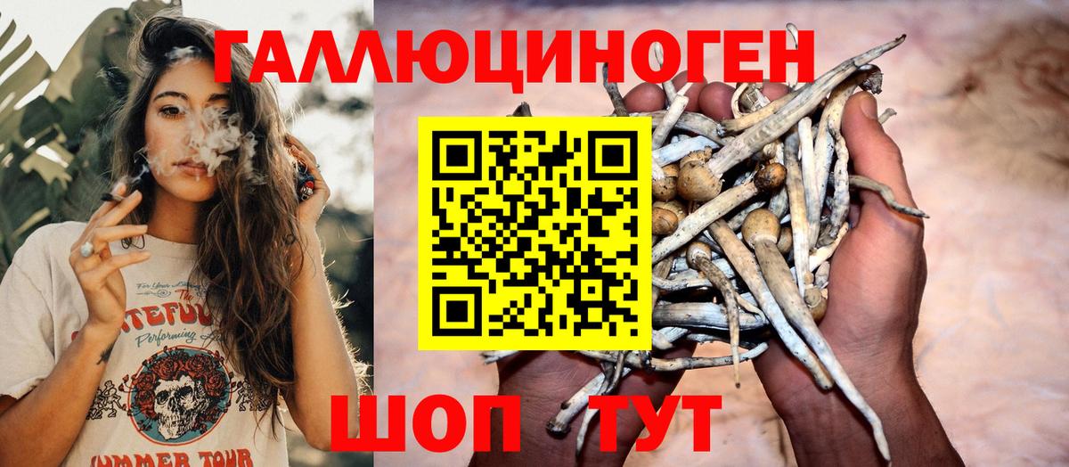Галлюциногенные грибы Cubensis  Вход с VPN  Саров  Галлюциногенные грибы Magic Shrooms 